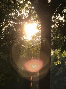 1746518279966548.png