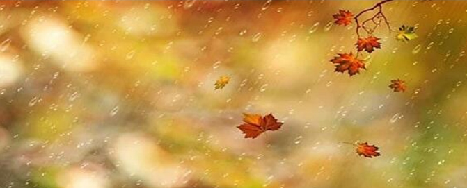 1761805978333760.png 图片1.png秋雨夜眠.png