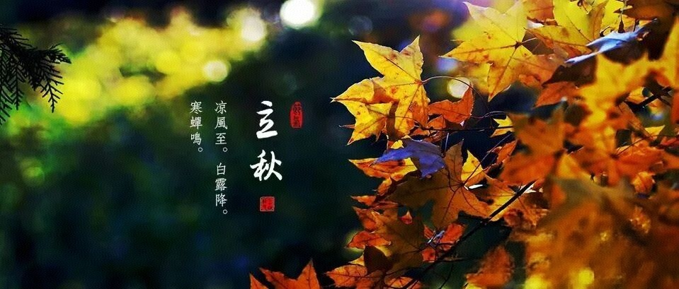 1786068764386965.png 图片1.png
